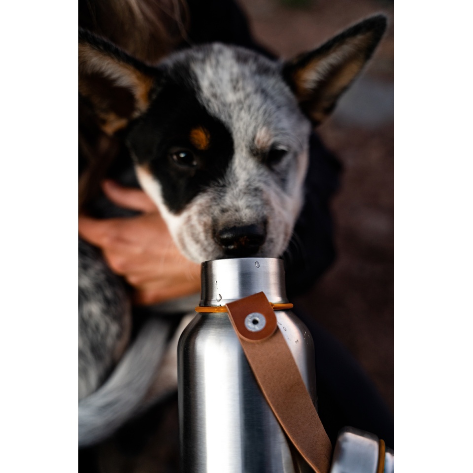 black-blum-insulated-water-bottle-dog-orange-X3.jpg