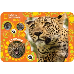 lauamatt-national-geographic-leopard.jpg