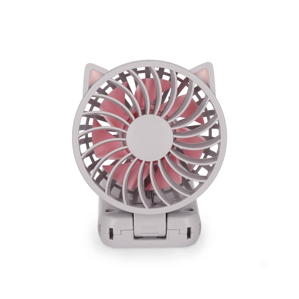 FAN0005_3.jpg