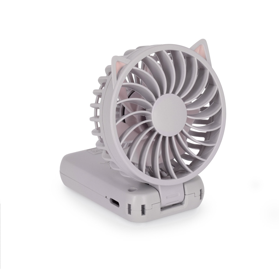 FAN0005_4.jpg