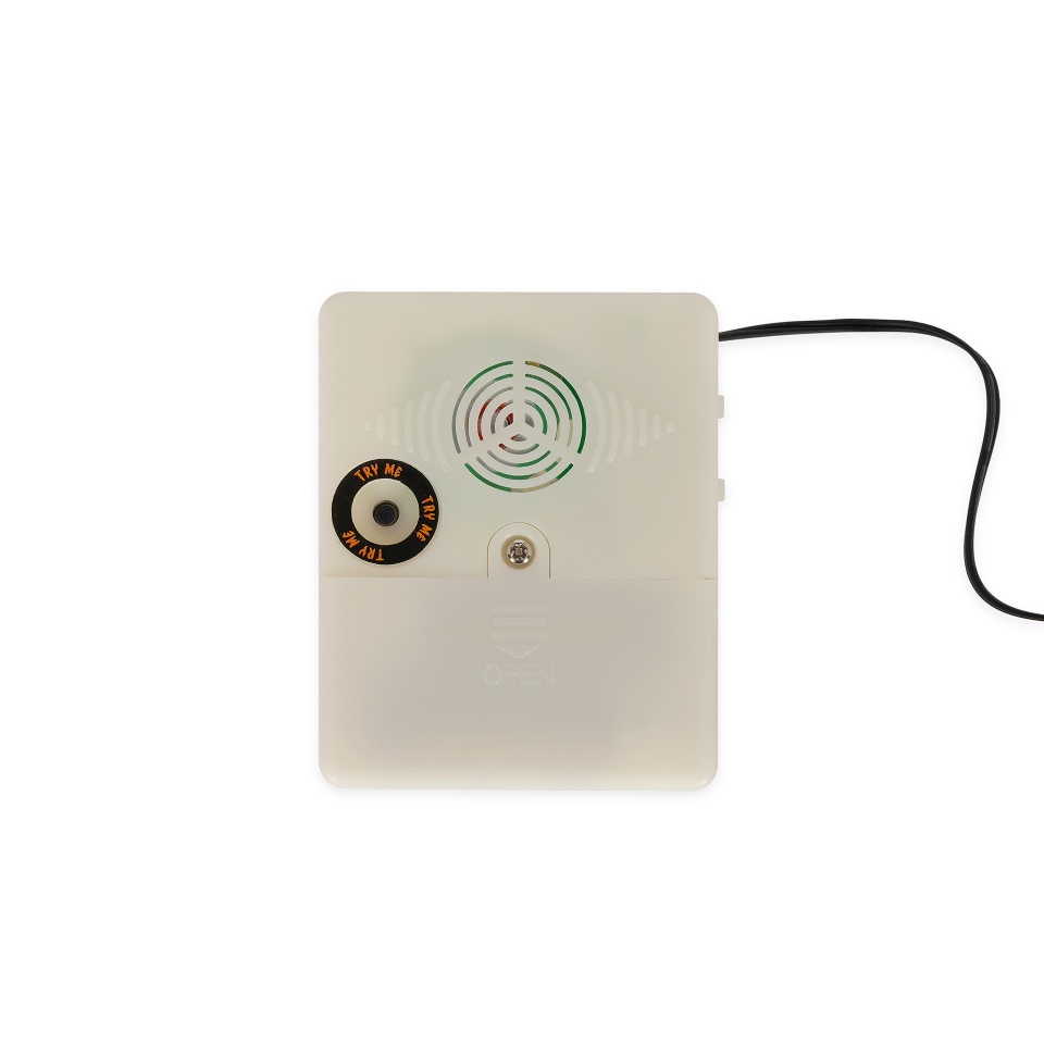 DMAT0001_4.jpg