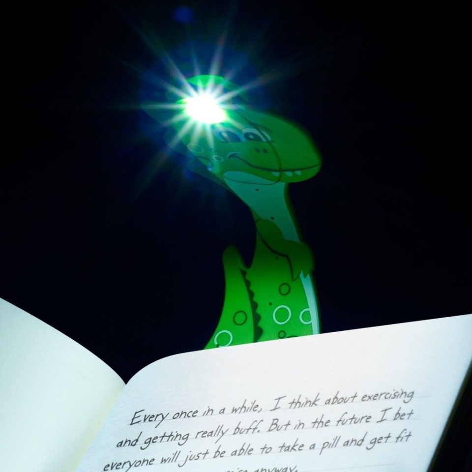 FLPDG_Flexilight Pal Dino Green_2.jpg