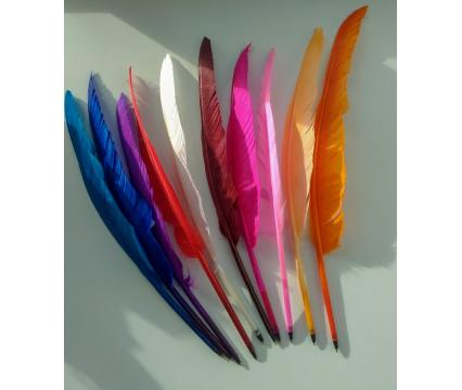 TG sulepastakas assortii must tint*