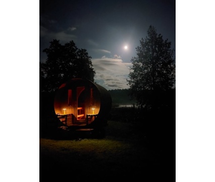 ChicMic UFO laualamp sage