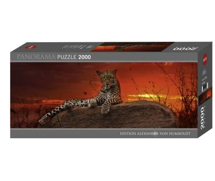 HEYE pusle 2000 PAN Red Dawn*